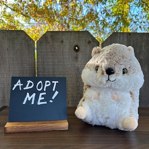 May include: A plush, beige and white stuffed animal with a black nose and embroidered eyes. A small chalkboard sign with the words "ADOPT ME!" is in front of the animal. The sign is on a wooden base.