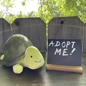 Weighted Rescue Plush - Taco the Turtle