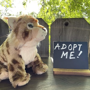 Weighted Rescue Plush - Taiga the Lynx 2lbs