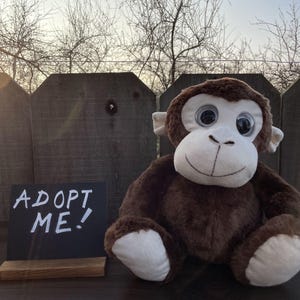 May include: A plush brown monkey with white accents and large, expressive eyes sits next to a small chalkboard sign. The sign reads "ADOPT ME!" in white lettering. The background includes a wooden fence and bare tree branches.