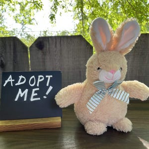 Small Rescue Plush - Plumpto the Rabbit