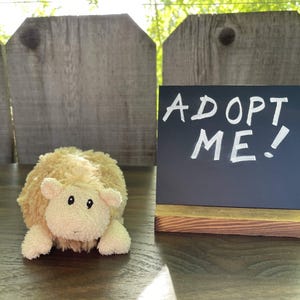 Small Rescue Plush - Malery the Sheep