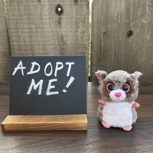 May include: A plush toy raccoon with large, glittery eyes and pink accents sits next to a small chalkboard sign that reads "ADOPT ME!". The sign is on a wooden base, and the background is a wooden fence.