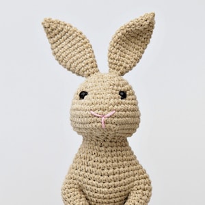 Pixie The Rabbit Amigurumi Pattern, Bunny Crochet Pattern, Easter decoration ideas, seamless, home decor, birthday gift, spring present