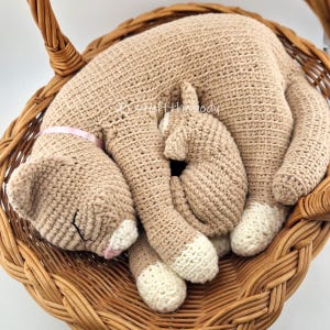 Crochet pattern of a nursing cat mother with kitten curled up together in a wicker basket, handmade amigurumi mother cat and baby toy