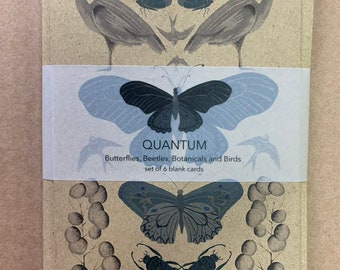 Beetles, Butterfly, Birds and Botanical Illustrated Cards. Set of Six Blank Natural History Cards by Quantum