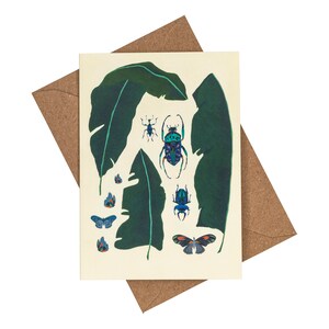 Blätter und Insekten Grußkarte. Vintage botanische Karte. Botanische Karte. Bananenblätter und Käfer Karte Blätter und Insekten Karte von Quantum