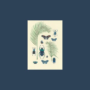 Karta Palms and Insects. Botaniczna Karta Powitalna. Vintage Botaniczna Karta. Pusta Karta Palms and Insects autorstwa Quantum.,