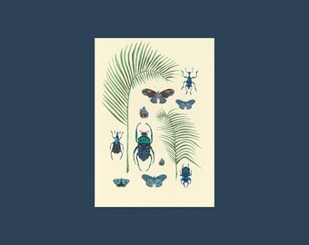 Botanische wenskaart: blanco kaart palmen en insecten