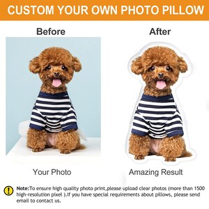 Personalized Photo DIY Pet Cushion Toys Dolls Stuffed Animal Pillow Sofa Car Decorative Pillow Custom Dog Cat Picture Cushion image 7