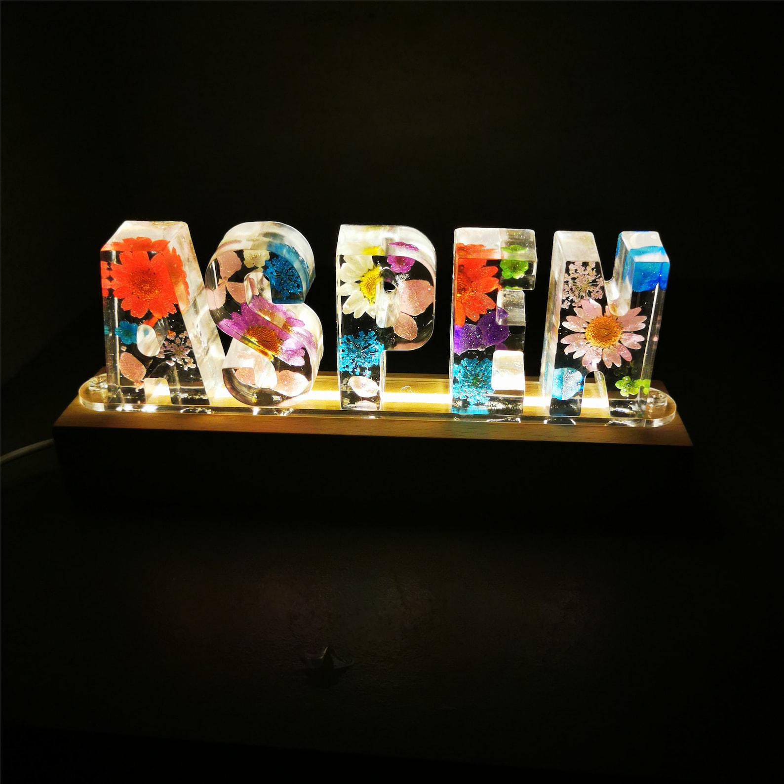 Personalization Dried Flower Light Resin Name LED Night Light Etsy