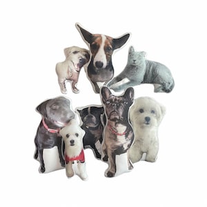 May include: A collection of eight plush dog and cat pillows. The pillows feature different breeds of dogs and cats, including a French bulldog, a Labrador Retriever, a Jack Russell Terrier, a Shih Tzu, and a grey tabby cat. The pillows are all made of soft, plush fabric and are perfect for cuddling.