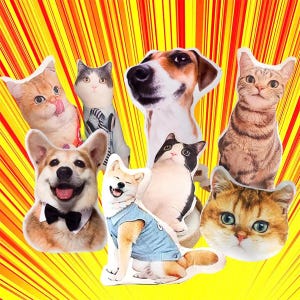 May include: A collection of plush animal pillows featuring various cat and dog breeds. The pillows are in the shape of the animals' heads and bodies, with detailed facial features and some wearing accessories like bow ties and denim jackets. The background is a yellow and orange burst.