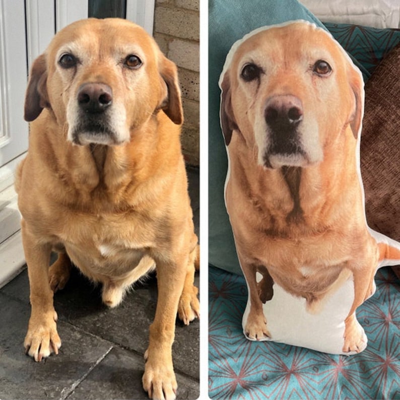 May include: A side-by-side comparison of a real dog and a custom-made dog pillow. The dog is a light brown Labrador Retriever sitting on a tiled floor. The pillow is a realistic depiction of the dog, with the same light brown fur and facial features. The pillow is sitting on a patterned fabric.