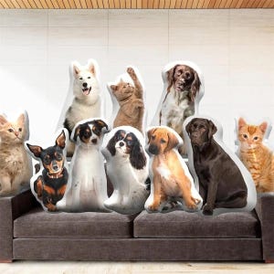 May include: A collection of dog and cat shaped pillows in various breeds and colors, including a husky, spaniel, labrador, and several kittens. The pillows are arranged on a gray sofa against a neutral background.