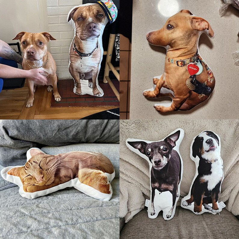 May include: Four custom pet pillows featuring different dog breeds. The pillows are made of soft fabric and feature realistic images of the dogs. The dogs are a brown and white pit bull, a brown chihuahua, a black chihuahua, and a black and white bernese mountain dog.