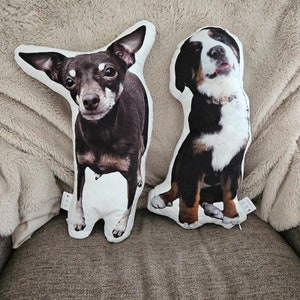 May include: Two dog-shaped pillows, one black and brown chihuahua and one black and white Bernese Mountain Dog. Both pillows are on a brown couch.