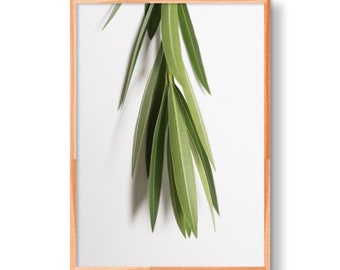 Botanical Art Print a parete | Impianto di stampa | Arte moderna | Minimal Art | Arte della parete | Arte minimalista | Stampa su carta pregiata | Arte della parete | Arte della parete vegetale