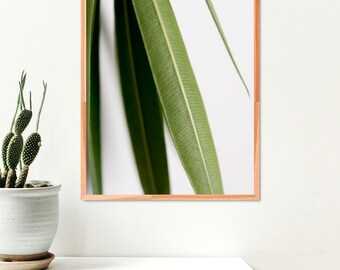 Botanical Art Print a parete | Impianto di stampa | Arte moderna | Minimal Art | Arte della parete | Arte minimalista | Stampa su carta pregiata | Arte della parete | Arte della parete vegetale