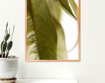 Botanical Art Print a parete | Impianto di stampa | Arte moderna | Minimal Art | Arte della parete | Arte minimalista | Stampa su carta pregiata | Arte della parete | Arte della parete vegetale