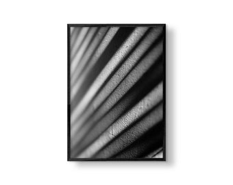 Abstract Photography | Abstract Art | Modern Art | Minimal Art | Minimalist Art | Fine Art Print | Wall Art | Black and White Photography