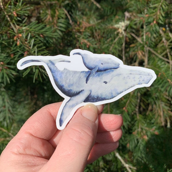 Watercolor Whale, PNW Wildlife Decal