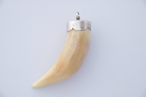 Charivari Tooth Pendant, Antique Tooth Charivari S
