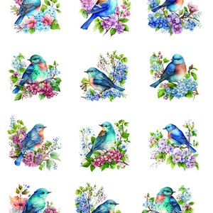 Colorful Blue Birds - Ceramic Decals- Enamel Decal - Fusible Decal - Glass Fusing Decal ~ Waterslide Decal - 88173