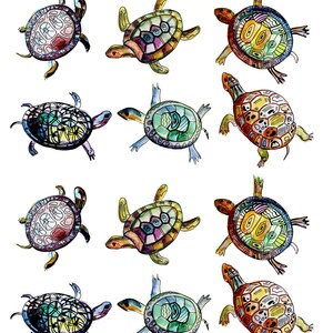 May include: A collection of twelve watercolor turtle illustrations. Each turtle features a unique shell design with vibrant colors like blue, green, yellow, and red. The image includes the number "78955" in the upper left corner.