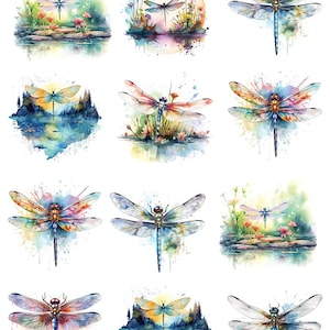 May include: Twelve watercolour illustrations of dragonflies with various backgrounds, including flowers, water, and trees. The dragonflies are painted in shades of blue, green, yellow, and orange.