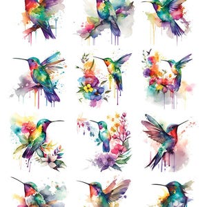 May include: A sheet of watercolor hummingbird stickers. The stickers feature colorful hummingbirds in various poses, with wings spread or perched on branches, surrounded by floral accents and watercolor splashes. The top left corner has the number "97112".
