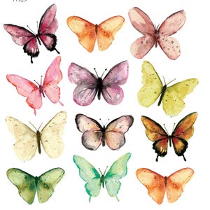 May include: A selection of watercolour butterfly designs in shades of pink, orange, yellow, green, and purple. Each butterfly features intricate wing patterns and a black body. The butterflies are displayed against a white backdrop.