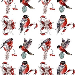 Hand Painted Peacock Bird - Ceramic Decals- Enamel Decal - Fusible Decal - Glass Fusing Decal ~ Waterslide Decal - 12940