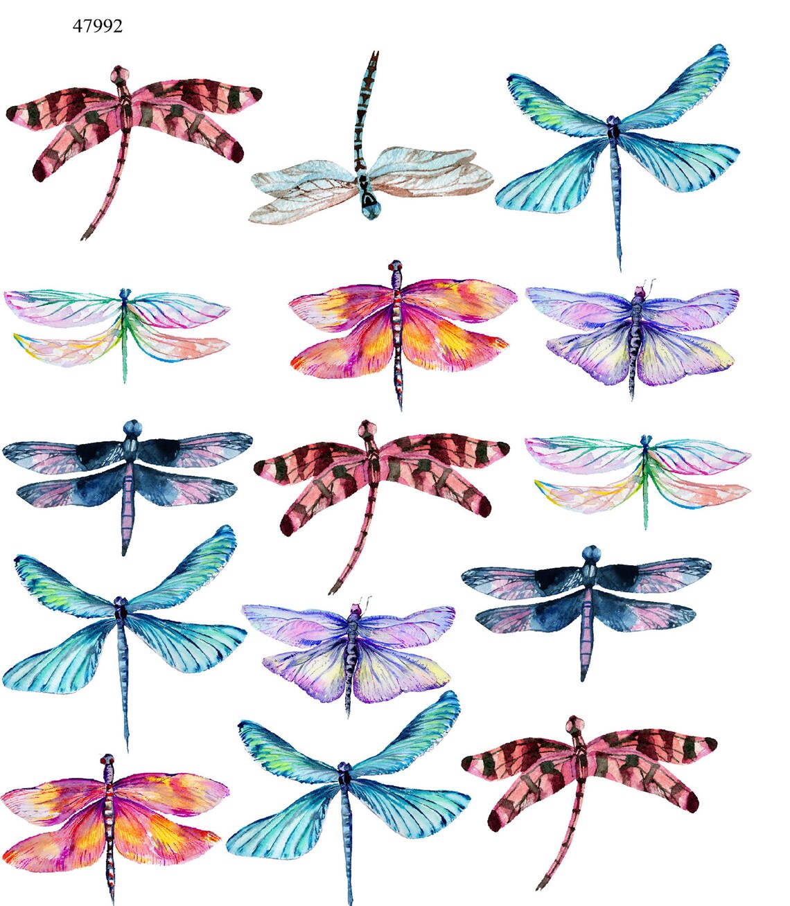 Frog Ceramic Decal Insect Dragonfly, Lily Pad, Fauna, Plants Png