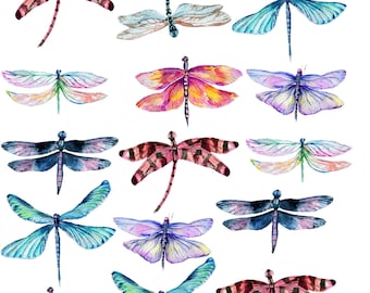 Colorful Dragonflies -   Ceramic Decals- Enamel Decal - Fusible Decal - Glass Fusing Decal ~ Waterslide Decal - 47992