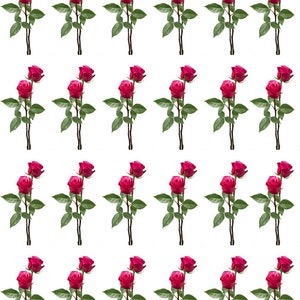 Red Red Roses  - Ceramic Decals- Enamel Decal - Fusible Decal - Glass Fusing Decal ~ Waterslide Decal - 61289