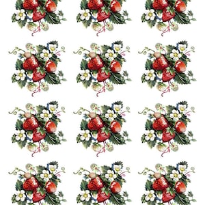 May include: Sheet of stickers featuring watercolor illustrations of ripe strawberries with white blossoms and green leaves. The strawberries are a vibrant red, and the overall design is set against a white background. The sticker sheet has the number 9501 in the top left corner.