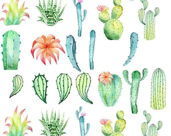 May include: A collection of watercolour illustrations featuring cacti and succulents in green, blue, and orange hues. The image showcases diverse cactus shapes and sizes, some with flowers, set against a white backdrop. The style is artistic and botanical.