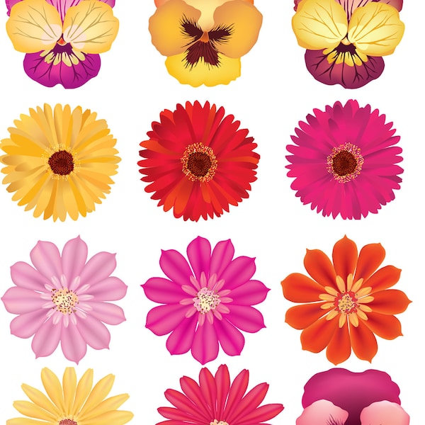 Xpression Decals Etsy