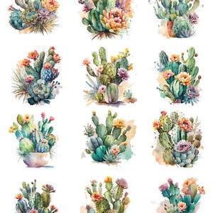 May include: A sheet of watercolor cactus and succulent illustrations. The images feature various cacti with orange, pink, and yellow flowers, and succulents in shades of green and blue. The text "78891" is in the upper left corner.