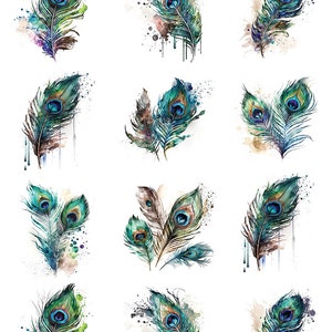 Watercolor Peacock Feathers -  Ceramic Decals- Enamel Decal - Fusible Decal - Glass Fusing Decal ~ Waterslide Decal -55711