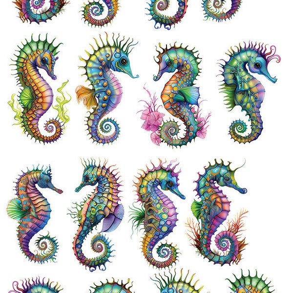 Colorful Fancy Seahorses - Ceramic Decals- Enamel Decal - Fusible Decal - Glass Fusing Decal ~ Waterslide Decal - 33890