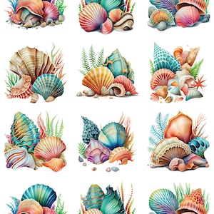 Colorful Sea Shells - Ceramic Decals - Fusible Decal - Glass Fusing Decal ~ Waterslide Decal -  27816