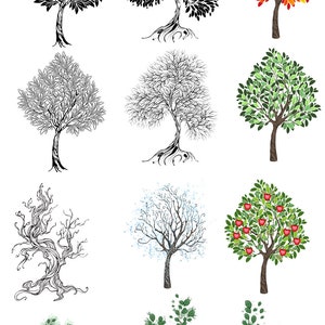 Trees of All Kinds ~ Ceramic Decal - Glass Decal ~LEAD FREE & Food Safe ~ Enamel Decal- 52997