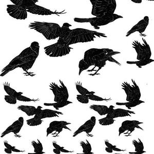 May include: A black and white illustration featuring multiple silhouettes of crows in various poses. Some crows are in flight with outstretched wings, while others are perched or in mid-air. The artwork has a minimalist, graphic style.