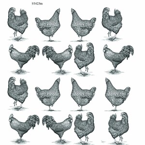 Vintage Farm Chickens - Ceramic Decals- Enamel Decal  - Glass Decal- 93423