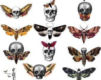 Skull Moths - Ceramic Decals- Enamel Decal  - Glass Decal- 78923