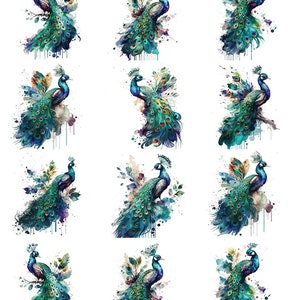 Watercolor Peacocks -  Ceramic Decals- Enamel Decal - Fusible Decal - Glass Fusing Decal ~ Waterslide Decal -72782