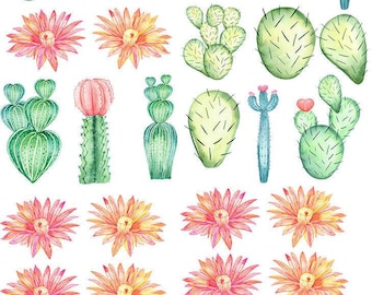 May include: A collection of watercolour illustrations featuring cacti and flowers in green, pink, and orange hues. The cacti designs vary, some with heart shapes. The flowers have detailed petals and vibrant colours, creating a botanical theme.