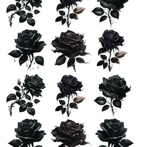 Black Roses - Flowers -  Ceramic Decals- Enamel Decal  - Glass Decal- 18892